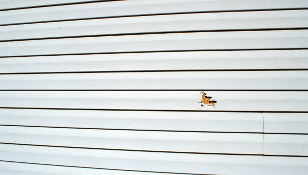 Best Residential Vinyl Siding Installation  in Pelahatchie, MS