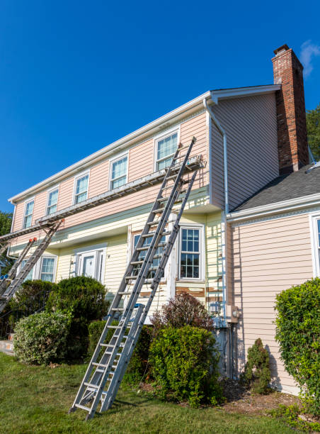 Best Storm Damage Siding Repair  in Pelahatchie, MS