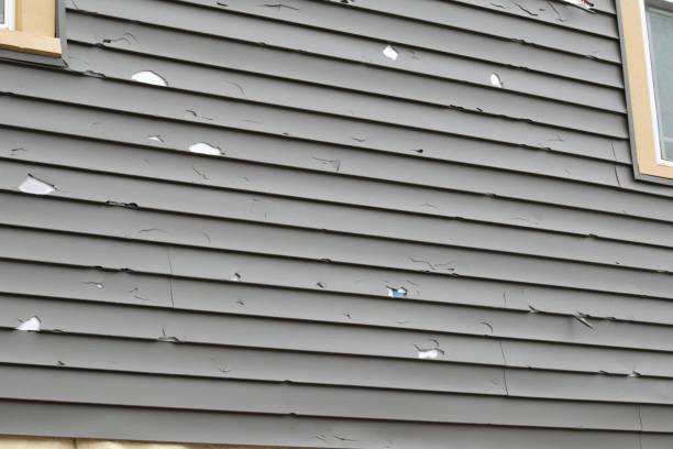 Best Fascia and Soffit Installation  in Pelahatchie, MS